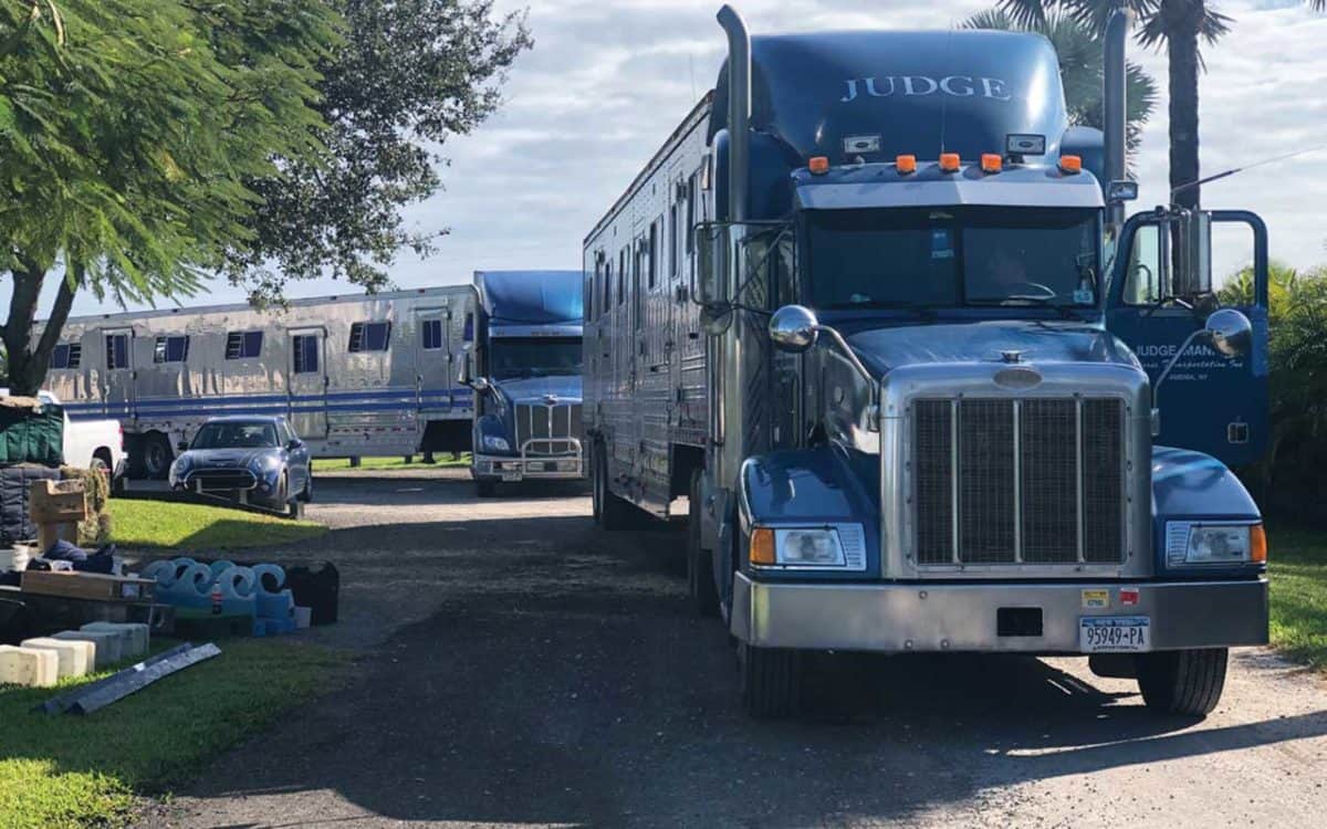 Horse Transport Main Street Magazine