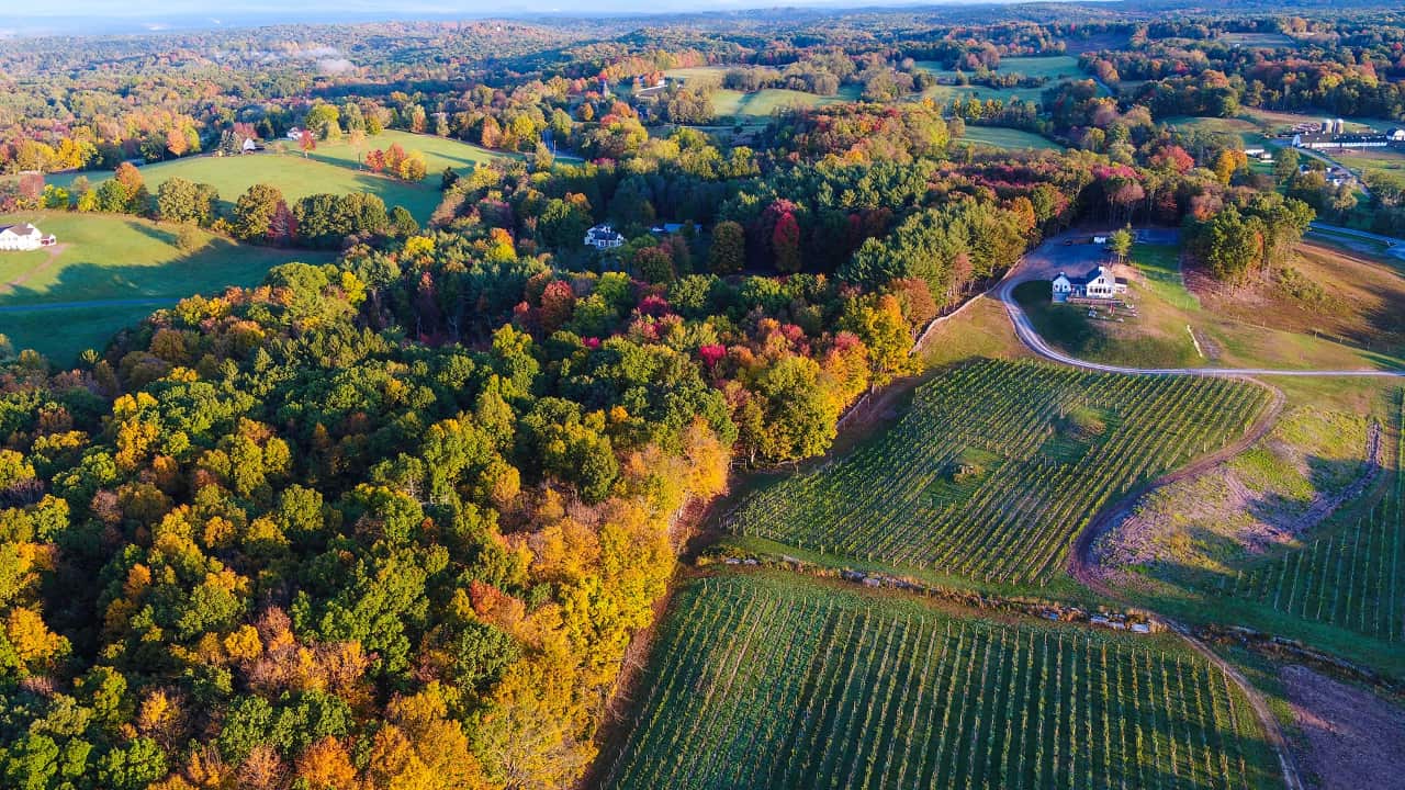 Bright White Wines Main Street Magazine