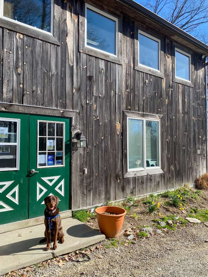 Ledgewood Kennel A Haven for the Hudson Valley Dog Main Street Magazine