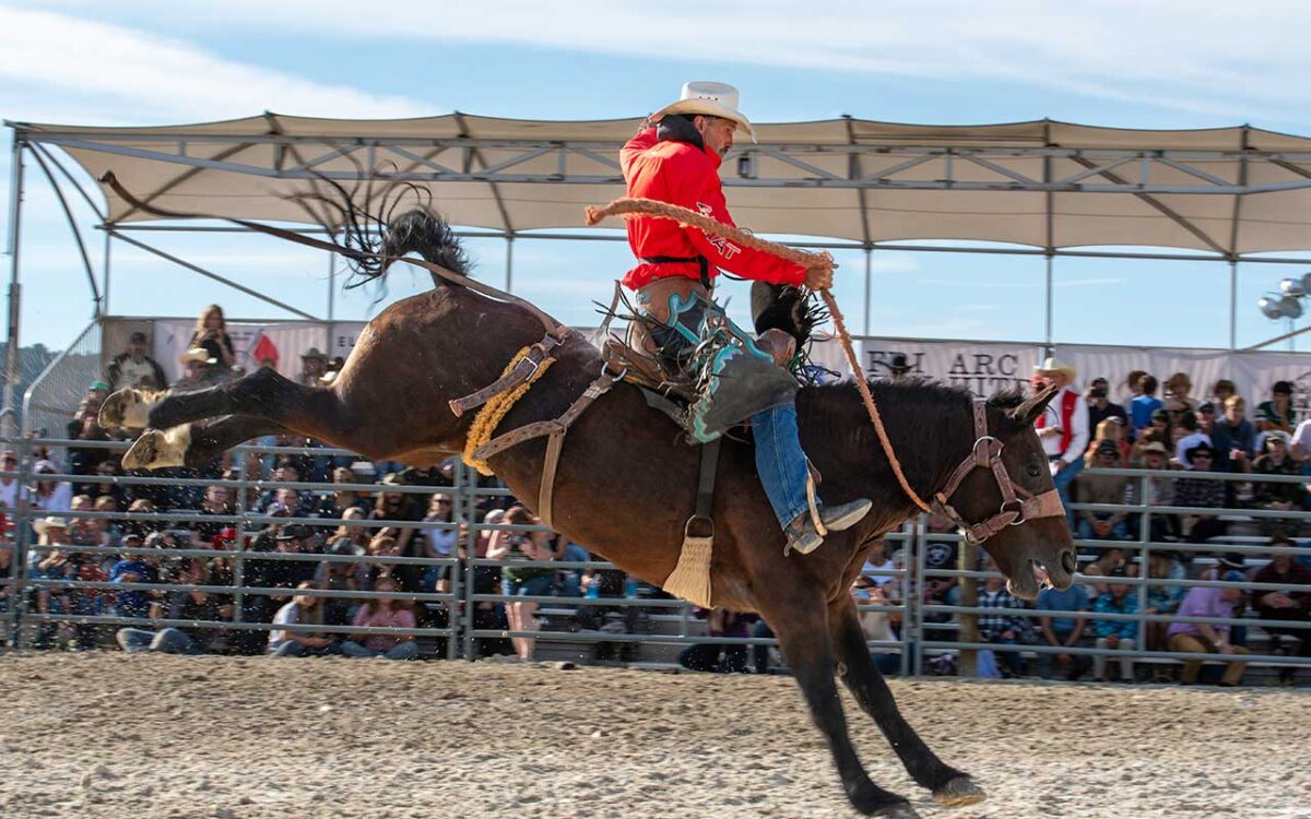 Mvta Rodeo 3rd Annual Hudson Valley Rodeo Brings Cowboys and Cowgirls to Amenia ...