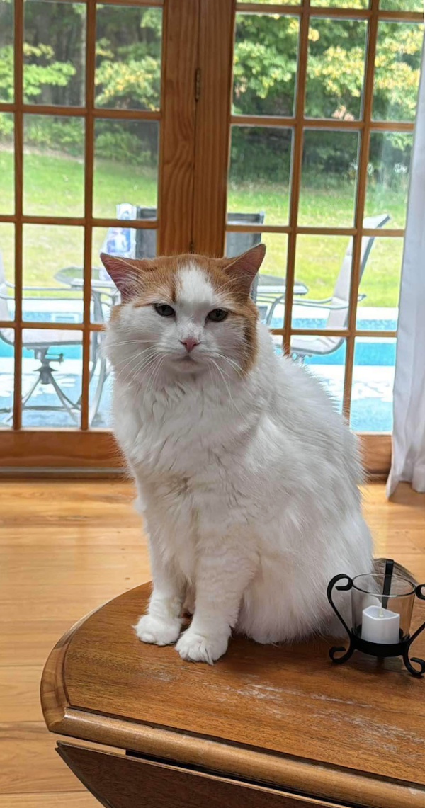 A Close Call Main Street Magazine