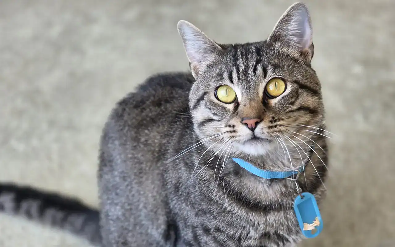 669644799_1606092797540924_6718531874078230344_n