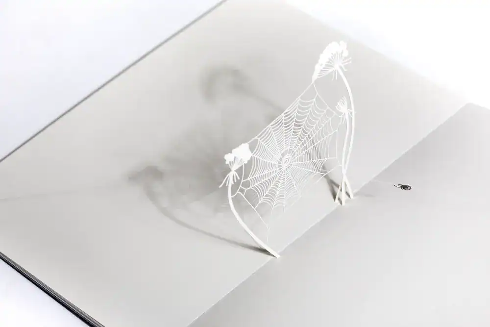 Saracenosimpleweb.angle copy