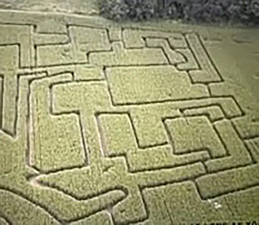 Can you find your way through a pattern like this The entire layout can only be seen from above, such as this at Willowbrook Farm. Inside it, you’ll just see rows and rows of corn