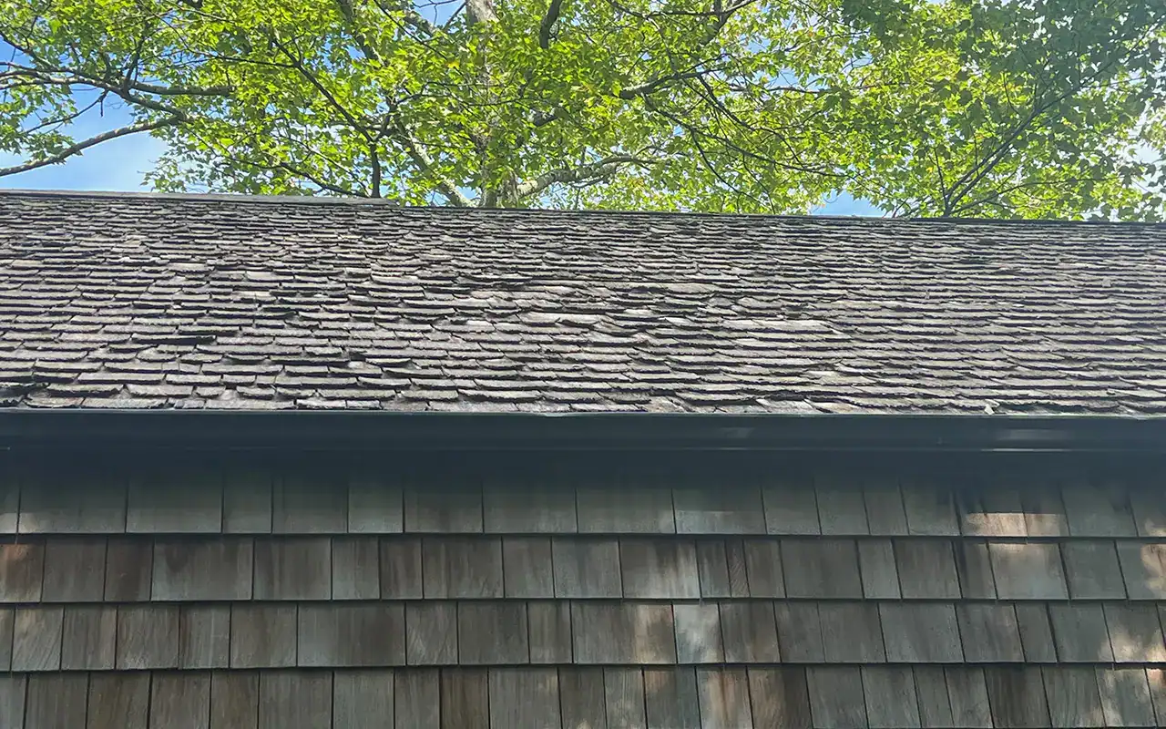 Roof shingles
